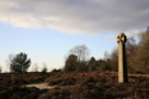 Gibbet Hill Cross